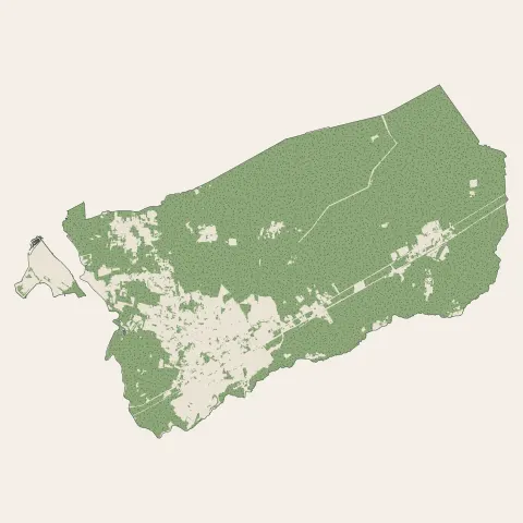 Biganos : bois, forêts et landes