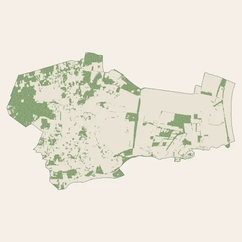 Blanquefort : bois, forêts et landes