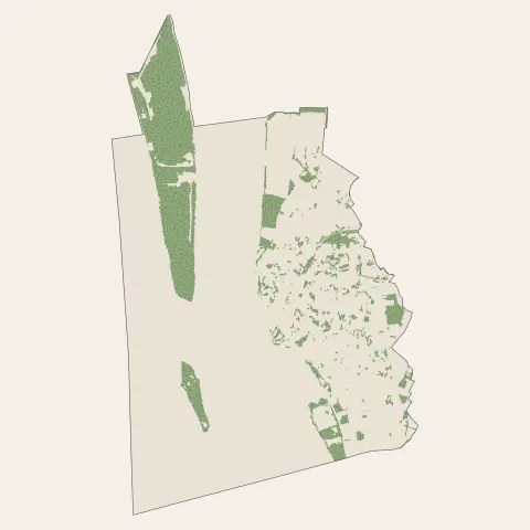 Blaye : bois, forêts et landes