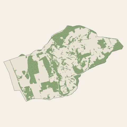 Bouliac : bois, forêts et landes