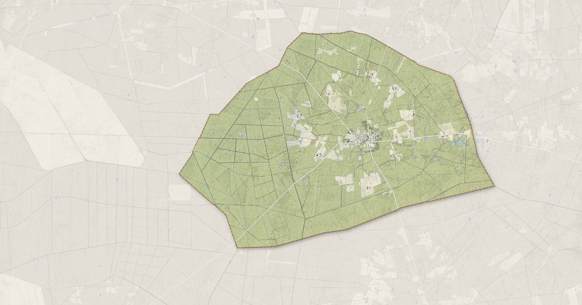 Portrait cartographique de Brach : relief, eau, forêts, bâti et voies, calculés à partir des données de l'IGN