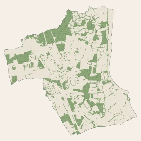Cadaujac : bois, forêts et landes