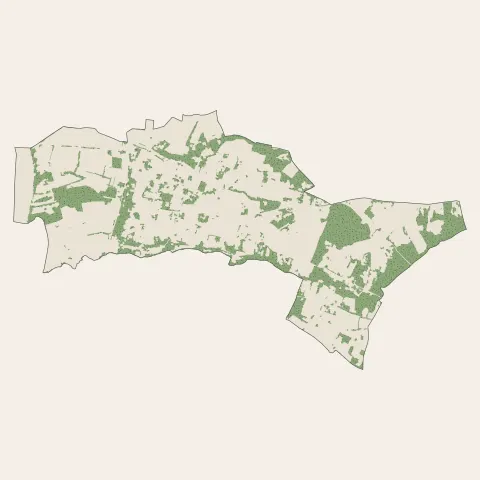 Camblanes-et-Meynac : bois, forêts et landes