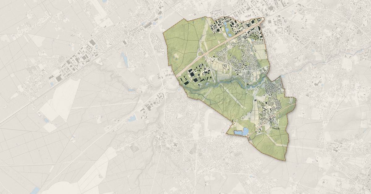 Portrait cartographique de Canéjan : relief, eau, forêts, bâti et voies, calculés à partir des données de l'IGN