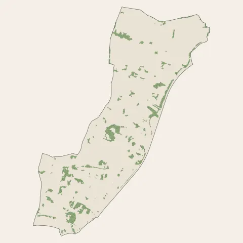 Carbon-Blanc : bois, forêts et landes