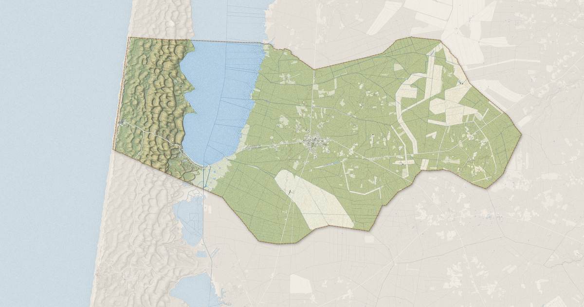 Portrait cartographique de Carcans : relief, eau, forêts, bâti et voies, calculés à partir des données de l'IGN
