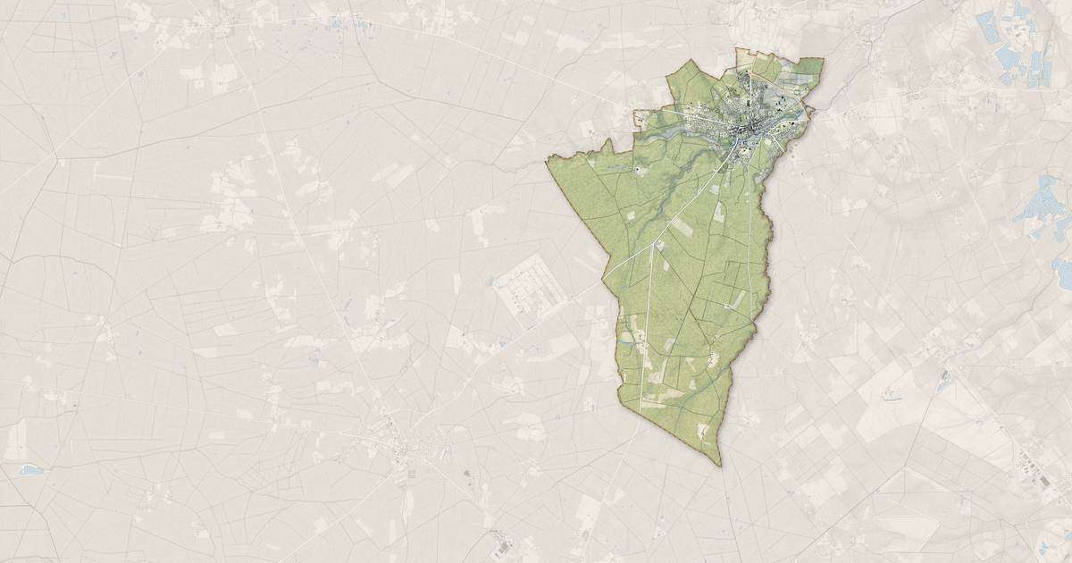 Portrait cartographique de Castelnau-de-Médoc : relief, eau, forêts, bâti et voies, calculés à partir des données de l'IGN