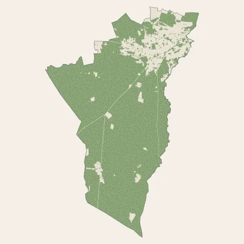 Castelnau-de-Médoc : bois, forêts et landes