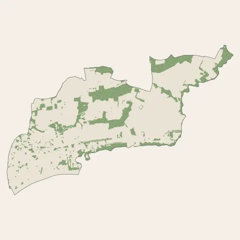 Castillon-la-Bataille : bois, forêts et landes