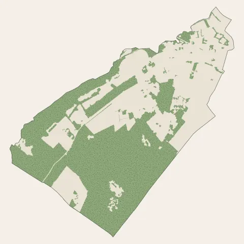 Castres-Gironde : bois, forêts et landes