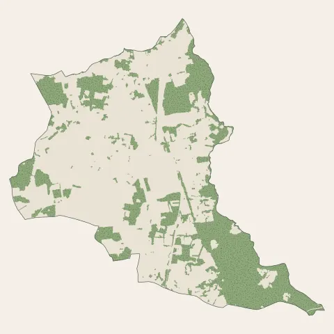 Cavignac : bois, forêts et landes