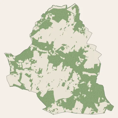 Cénac : bois, forêts et landes
