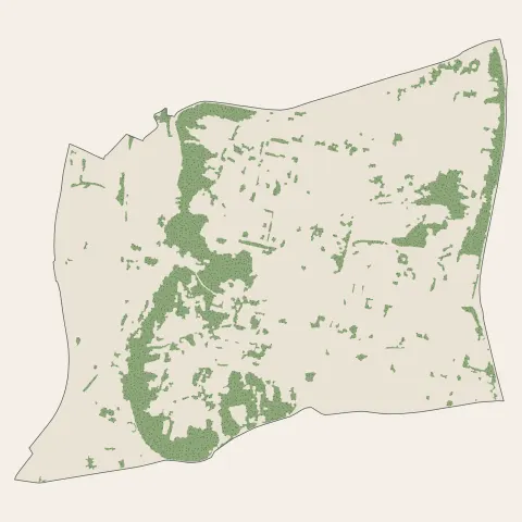 Cenon : bois, forêts et landes