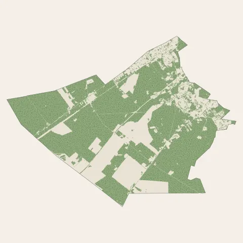 Cestas : bois, forêts et landes