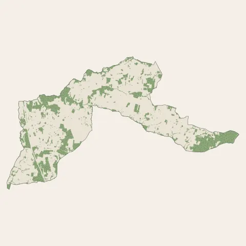 Cézac : bois, forêts et landes
