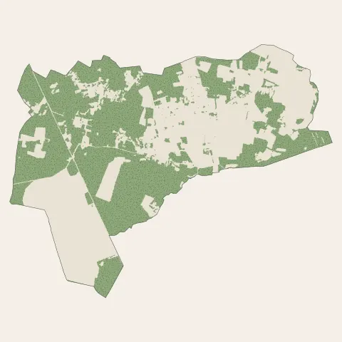 Cissac-Médoc : bois, forêts et landes