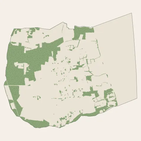 Cussac-Fort-Médoc : bois, forêts et landes