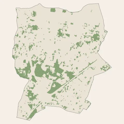 Eysines : bois, forêts et landes