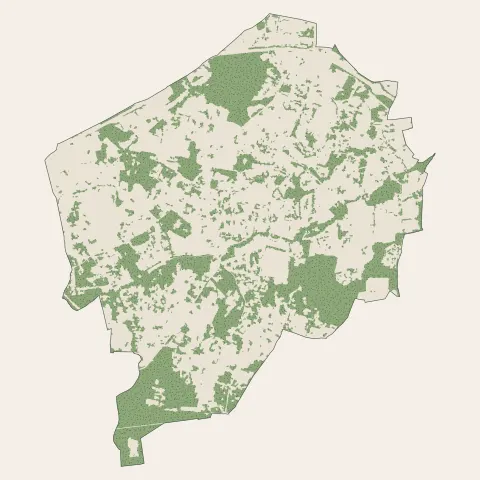 Gradignan : bois, forêts et landes