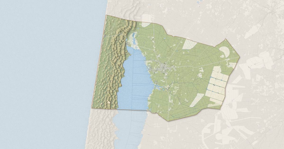 Portrait cartographique de Hourtin : relief, eau, forêts, bâti et voies, calculés à partir des données de l'IGN