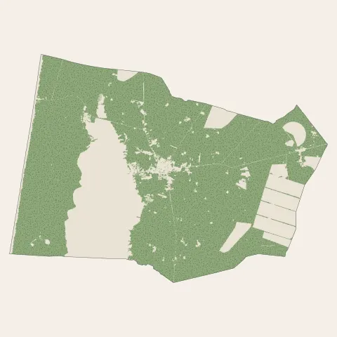 Hourtin : bois, forêts et landes