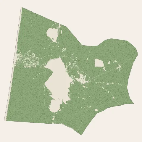 Lacanau : bois, forêts et landes
