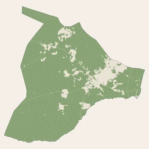 Landiras : bois, forêts et landes
