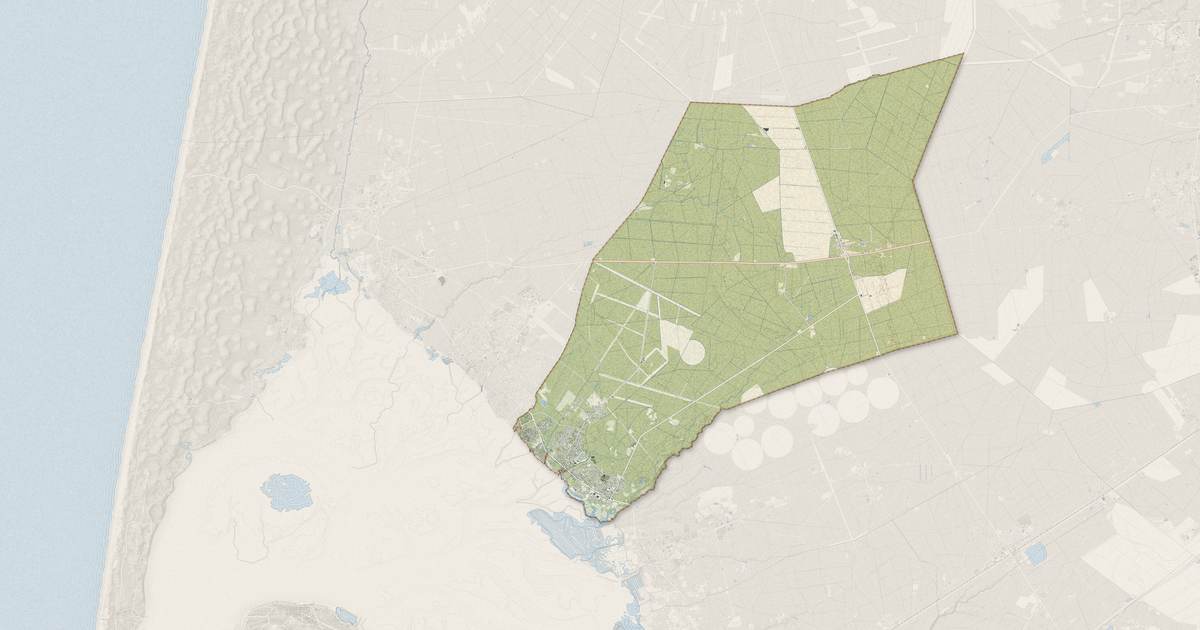 Portrait cartographique de Lanton : relief, eau, forêts, bâti et voies, calculés à partir des données de l'IGN