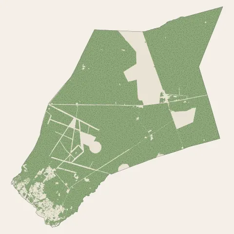 Lanton : bois, forêts et landes