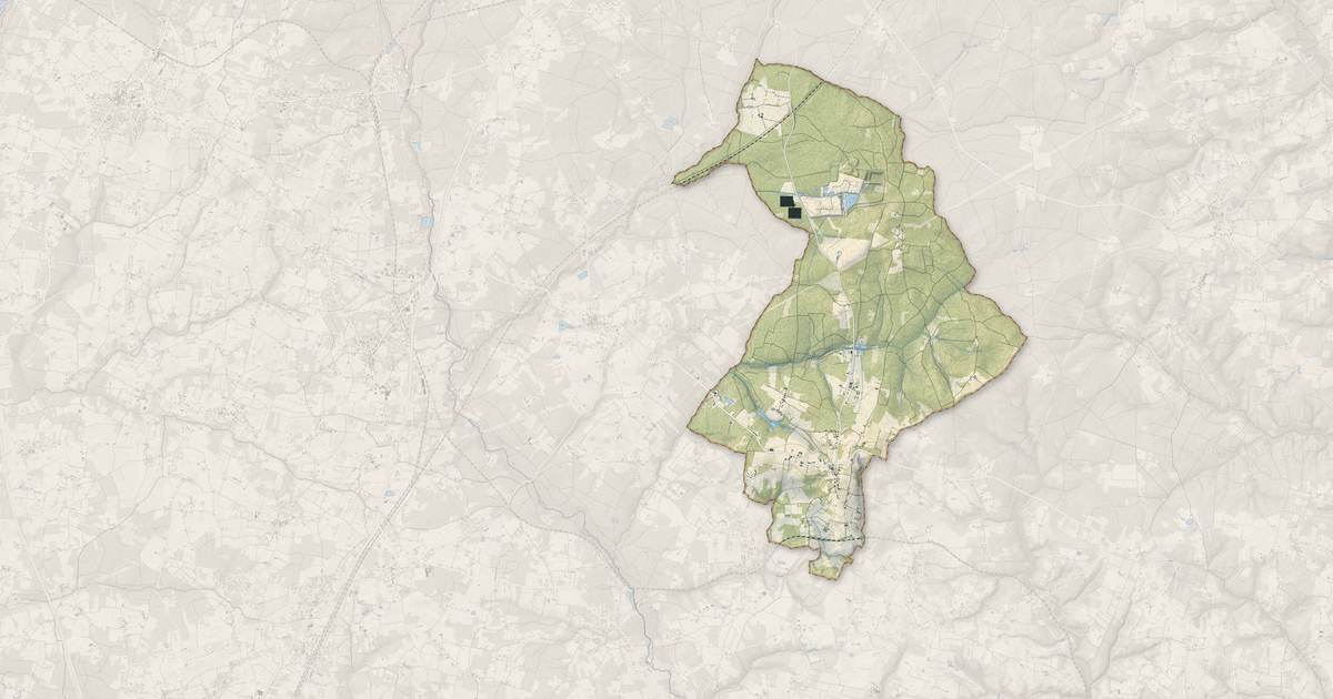 Portrait cartographique de Lapouyade : relief, eau, forêts, bâti et voies, calculés à partir des données de l'IGN