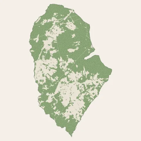 Laruscade : bois, forêts et landes