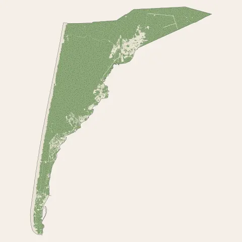 Lège-Cap-Ferret : bois, forêts et landes