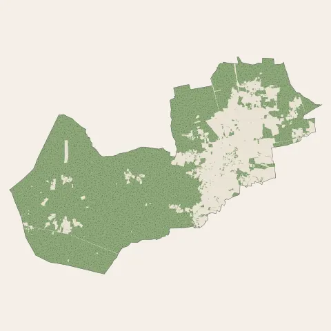 Listrac-Médoc : bois, forêts et landes