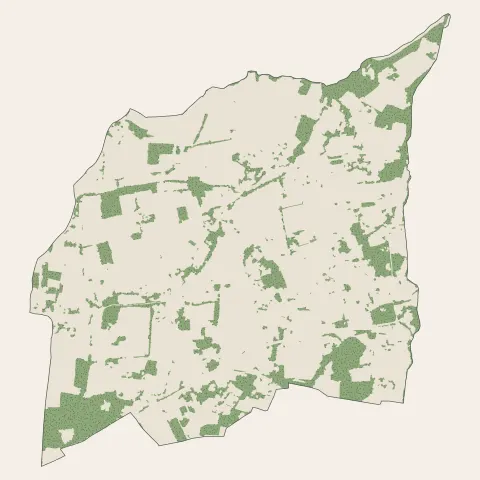 Montussan : bois, forêts et landes
