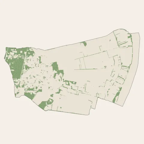 Parempuyre : bois, forêts et landes