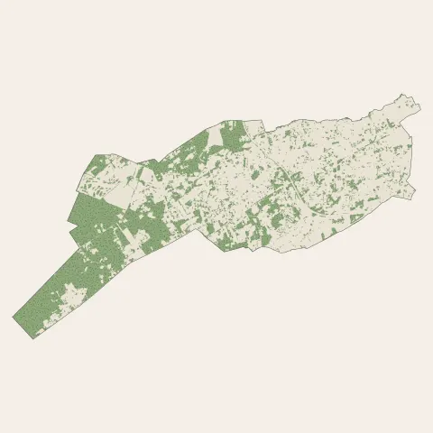 Pessac : bois, forêts et landes