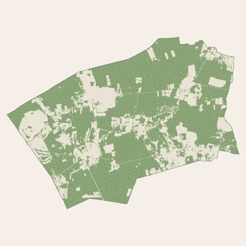 Le Pian-Médoc : bois, forêts et landes