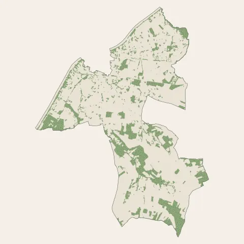 Pineuilh : bois, forêts et landes