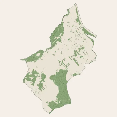 Preignac : bois, forêts et landes