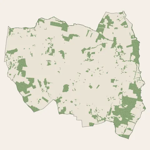 Pugnac : bois, forêts et landes