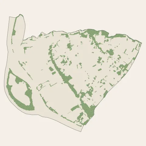 Quinsac : bois, forêts et landes