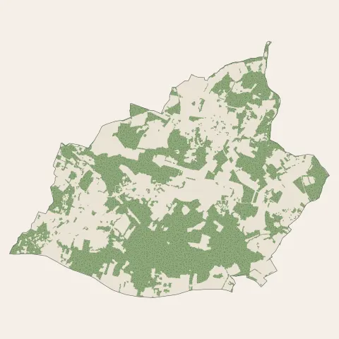 Sadirac : bois, forêts et landes