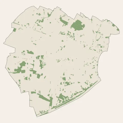 Saint-Magne-de-Castillon : bois, forêts et landes