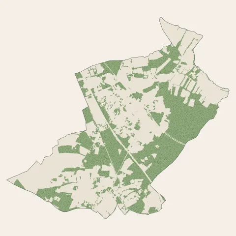 Saint-Médard-d'Eyrans : bois, forêts et landes