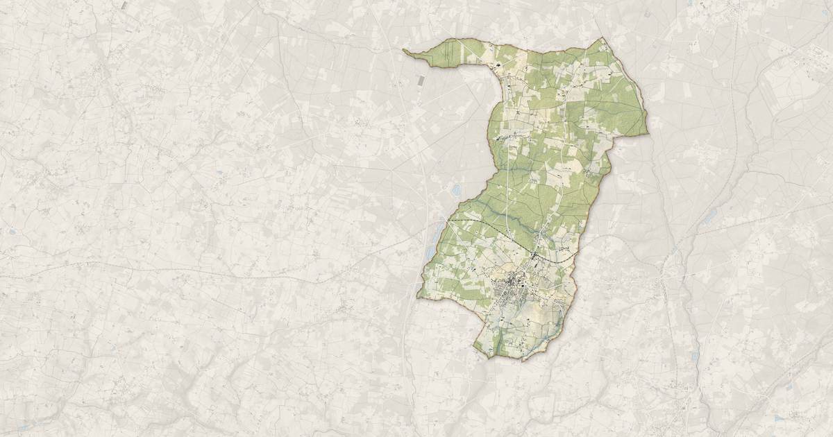 Portrait cartographique de Saint-Savin : relief, eau, forêts, bâti et voies, calculés à partir des données de l'IGN