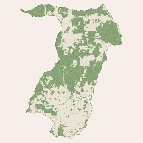 Saint-Savin : bois, forêts et landes