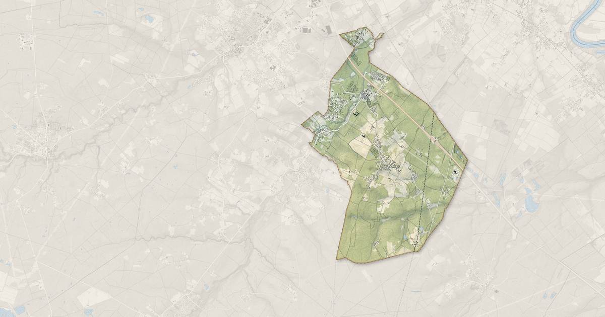 Portrait cartographique de Saint-Selve : relief, eau, forêts, bâti et voies, calculés à partir des données de l'IGN