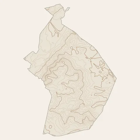 Saint-Selve : courbes de niveau
