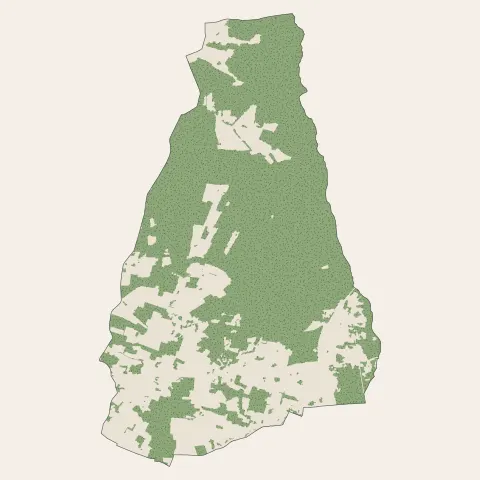 Saint-Yzan-de-Soudiac : bois, forêts et landes
