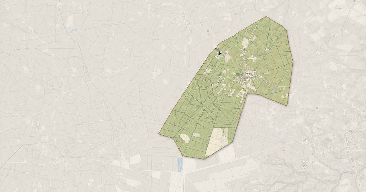 Portrait cartographique de Salaunes : relief, eau, forêts, bâti et voies, calculés à partir des données de l'IGN